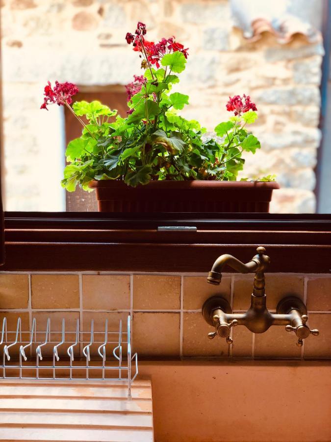 Bed and Breakfast Casa Masini Фонні Екстер'єр фото